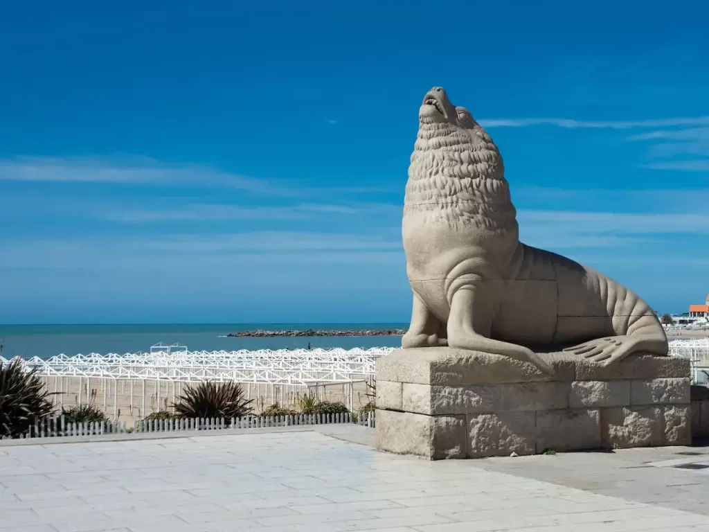 lobo marino en Mar del Plata